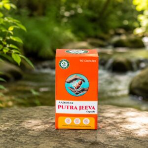 Aadhavan Putra Jeeva Capsules
