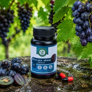 AADHAVAN GRAPE SEED CAPSULES